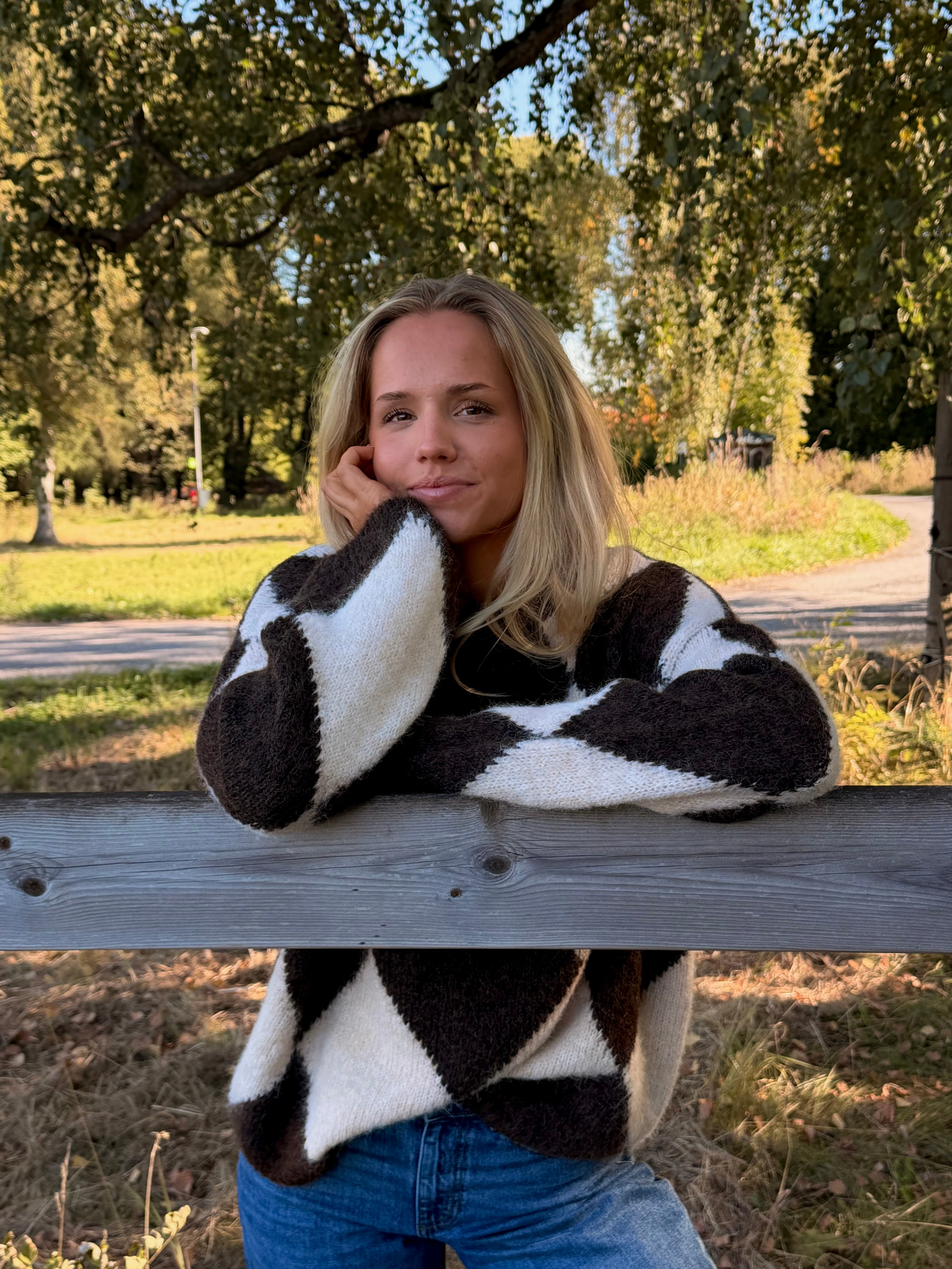 NMSUTTON KNIT - Chocolate Torte